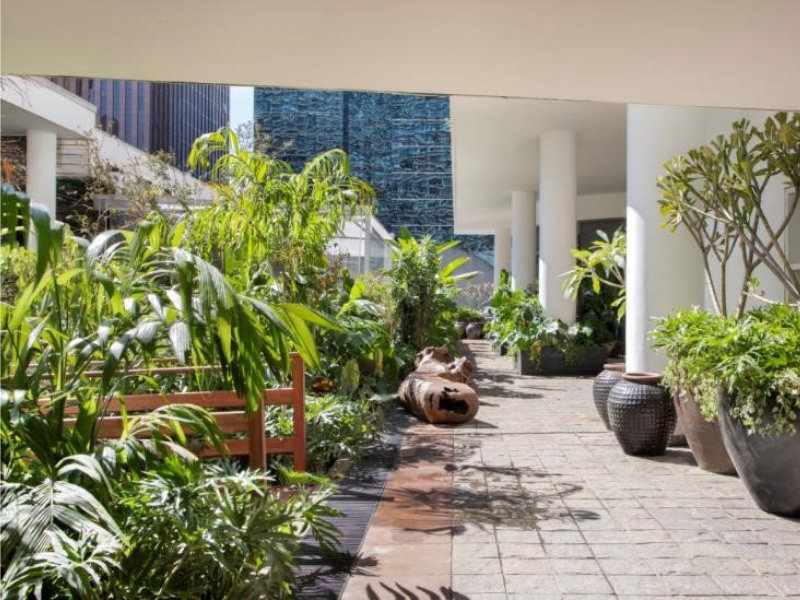 Paisagista Mônica Costa celebra a importância do Rio Xingu com jardim inspirador na CASACOR São Paulo 2024 